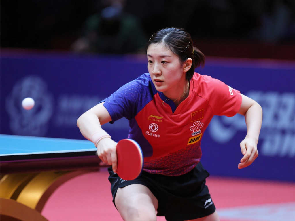 与战术深深 与战术深深