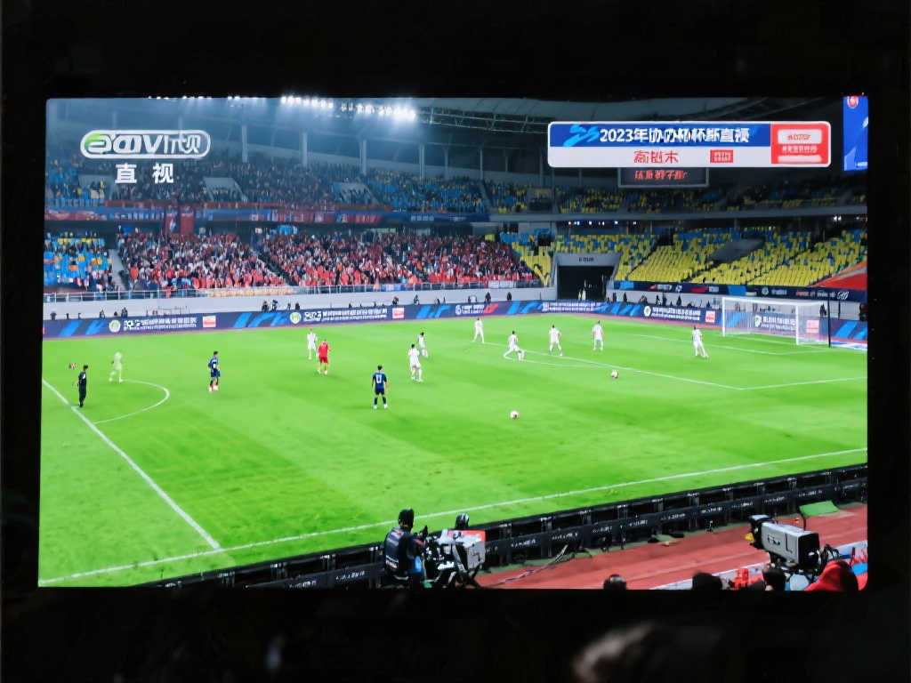 也时常受到 也时常受到