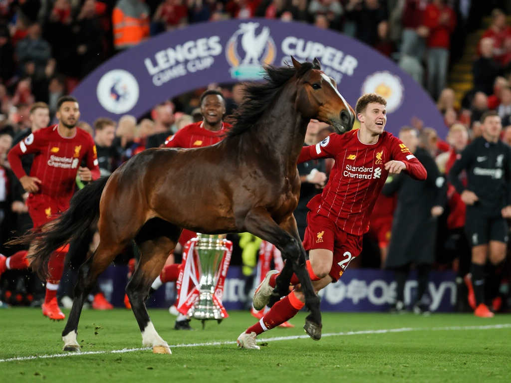 韋弗和高詩 韋弗和高詩